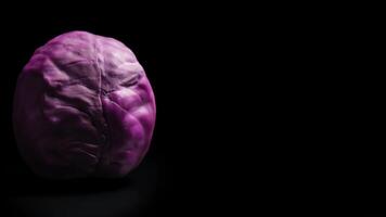 Close-up of vibrant purple cabbage head isolated on black background in studio setting video