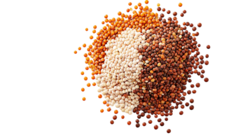 Assorted lentils and seeds for cooking and healthy eating concept isolated on transparent background png
