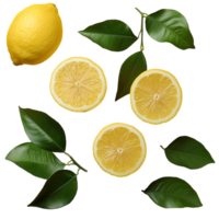 Fresh lemons and lemon slices with leaves on a plain background isolated on transparent background png