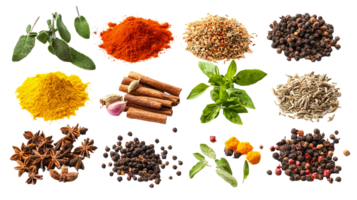Assortment of culinary herbs and spices background isolated on transparent background png