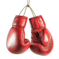 Pair of Old Red Leather Boxing Gloves Hanging Isolated at the Transparent Background. Cut Out png