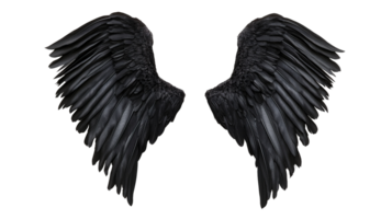 Pair of Black Angel Wings Isolated on Transparent Background png