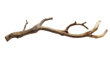 Rustic Wooden Branch Isolated at the Transparent Background png