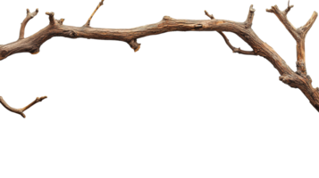 Rustic Wooden Branch Isolated on Transparent Background png