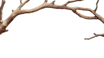 Rustic Wooden Branch Isolated on the Transparent Background png