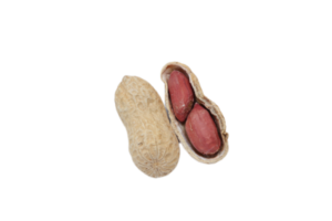 Peanut isolate, isolated of nut png