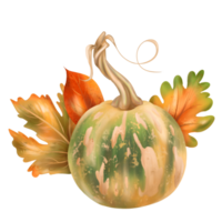 Autumn composition of ripe orange pumpkin and fall leaves. Farm vegetables, healthy food. Garden plants, agriculture. Isolated digital handmade illustration. Element of design of printing, packaging png