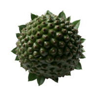 A whole atemoya fruit isolated on white background ideal for healthy food recipes and tropical fruit product packaging design png