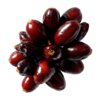 Fresh whole barberry fruits isolated on white background perfect for food blogs recipes and culinary websites showcasing vibrant autumnal colors and textures png