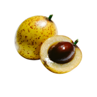 A vibrant whole marula fruit isolated on white background perfect for food packaging design and culinary publications showcasing its unique texture and color png