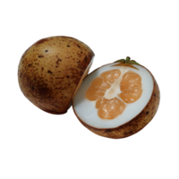 A whole santol fruit isolated on white background perfect for food blogs recipes and culinary websites showcasing its unique texture and vibrant color png