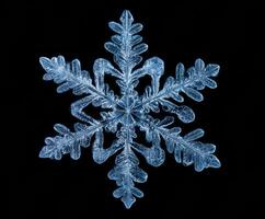 Unique crystal patterns in intricate snowflake design photo