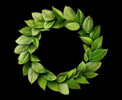 Green leaf wreath for nature-themed decoration and events photo