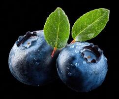 Fresh blueberries with dew and green leaves for snacks photo