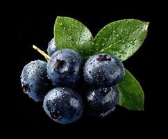 Fresh blueberries with dew and green leaves on a dark background photo