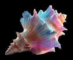 Colorful shell with intricate patterns for coastal decor and design photo