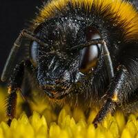 An extreme macro view shows a fuzzy bumblebee covered in tiny water droplets on a yellow flower surface photo