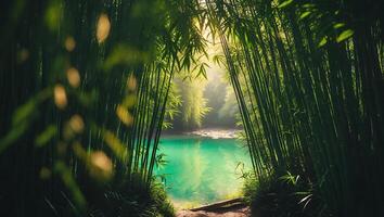 Bamboo Forest with Turquoise Lake View Landscape photo