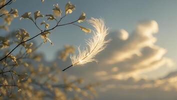 Feather on Branch Against Cloudy Sky photo