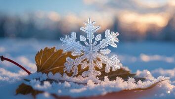 Snowflake on Leaf Winter Scene photo