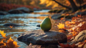 Green Fruit on Rock Near River Autumn Leaves photo