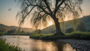 River Landscape with Willow Tree and Dragonfly at Sunrise photo