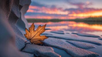 Maple Leaf on Sand at Sunset photo