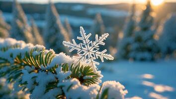 Snowflake on Branch in Snow Covered Forest During Winter Sunrise photo