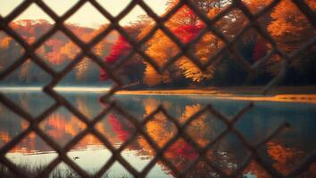 Autumn Trees Reflected in a Calm Lake Seen Through a Chain Link Fence photo