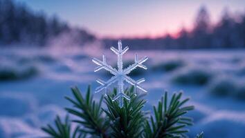 Snowflake on Evergreen Branch in Snowy Winter Landscape photo