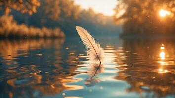 Feather Floats on Golden Lake Water photo