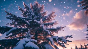 Snow Covered Tree in Winter Scenery with Cloudy Sunset photo