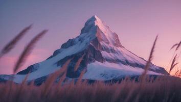 Snowy Mountain Peak at Sunset with Grass in Foreground photo