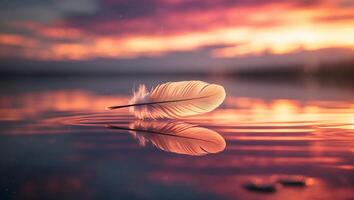 Feather Floating on Water During Sunset photo
