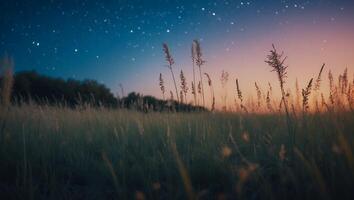 Night Field Landscape with Stars and Grass photo