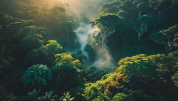 Lush Green Jungle Scenery with Mist and Bright Sunlight photo