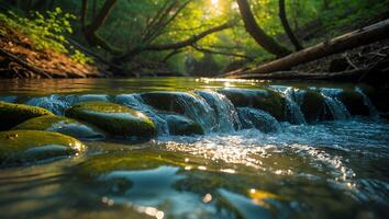 River Waterfall with Mossy Stones in Forest Sunlight photo