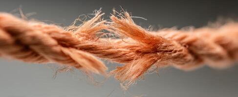 The Frayed Ends of a Twisted Natural Fiber Rope photo