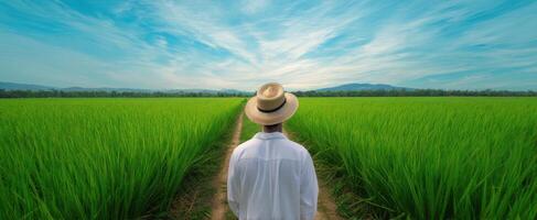 The serene farmer gazing across a lush green rice field under a blue sky. photo