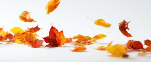 The vibrant autumn leaves gracefully dancing in the crisp air. photo