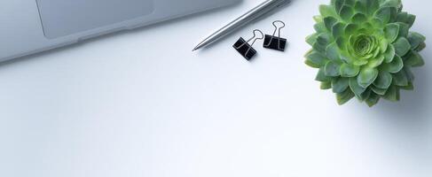 The sleek laptop and stylish succulent enhance a modern workspace setup. photo
