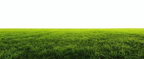 The vast green grass field under a clear blue sky. photo