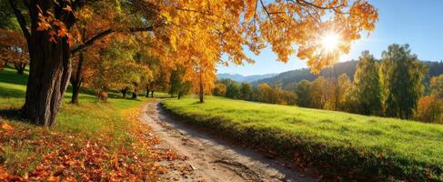 The beautiful autumn landscape with vibrant colors and a tranquil path. photo
