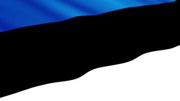 Estonia Flag Waving Gently in the Wind, Close-Up Full-Frame Perspective, Soft Fabric Texture, Slow Motion, Natural Movement, Waving Flag Background video