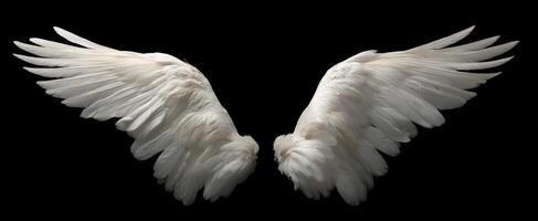The Majestic Spread of White Angel Wings Against a Black Background photo