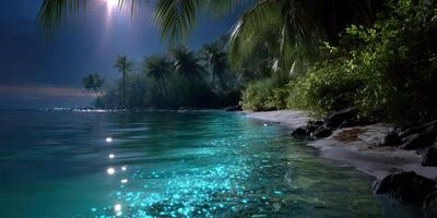 Nighttime beach view with shimmering water and lush palms under a moonlit sky photo