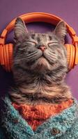 Cat wearing orange headphones relaxing on purple backdrop in cozy knitted sweater during indoor leisure time photo