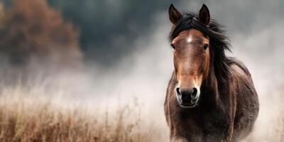 Majestic horse galloping through foggy landscape in early morning light near tranquil fields photo
