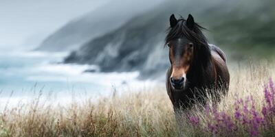 Majestic horse grazing near the coastline with purple flowers and misty mountains in the background at dawn photo