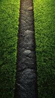 Pathway through lush green grass invites exploration in a tranquil outdoor setting photo